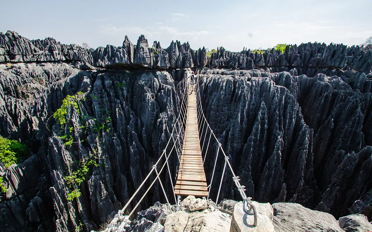 Bridge in the great tsingy